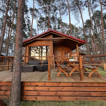 Domki Borsk - Komfortowe Domki Nad Jeziorem Wdzydze Z Przepieknym Widokiem Exterior foto